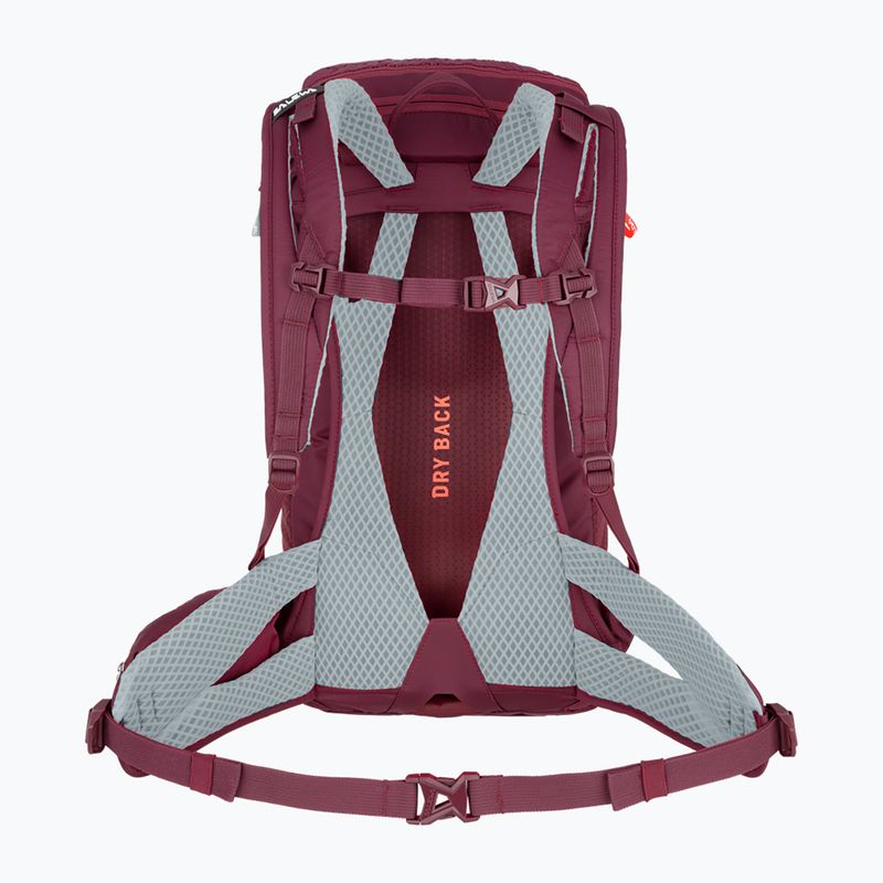 Salewa Alp Trainer 20 Damen Trekking Rucksack lila 00-0000001262 2