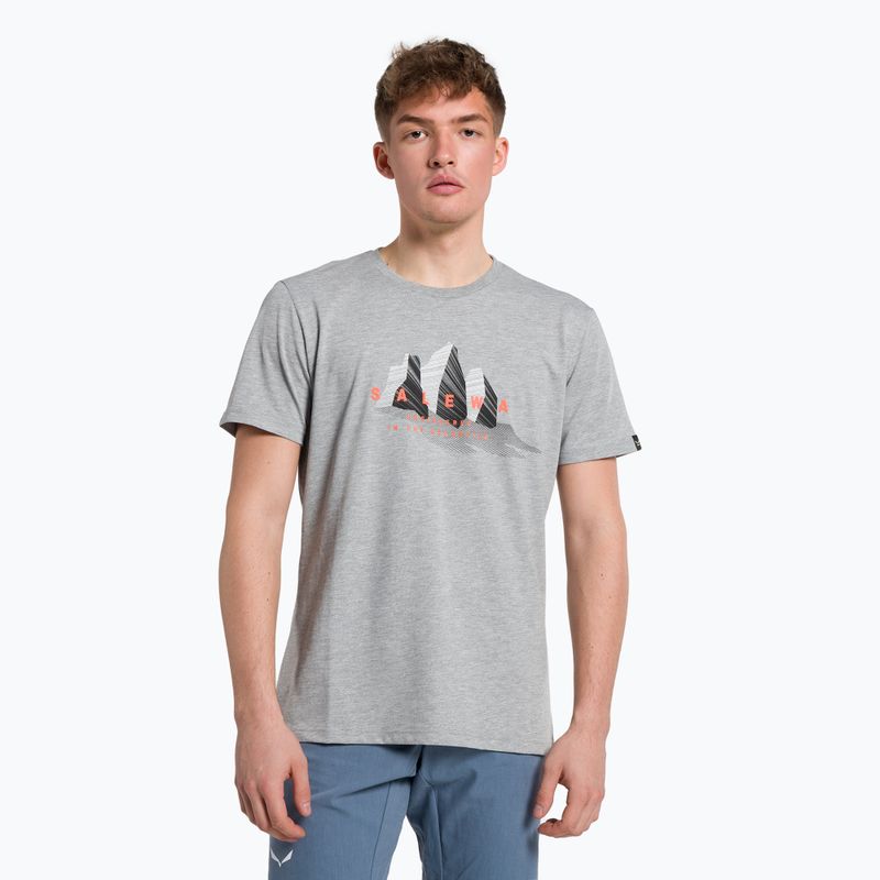 Salewa Lines Graphic Dry Herren-Trekkinghemd grau 00-0000028065