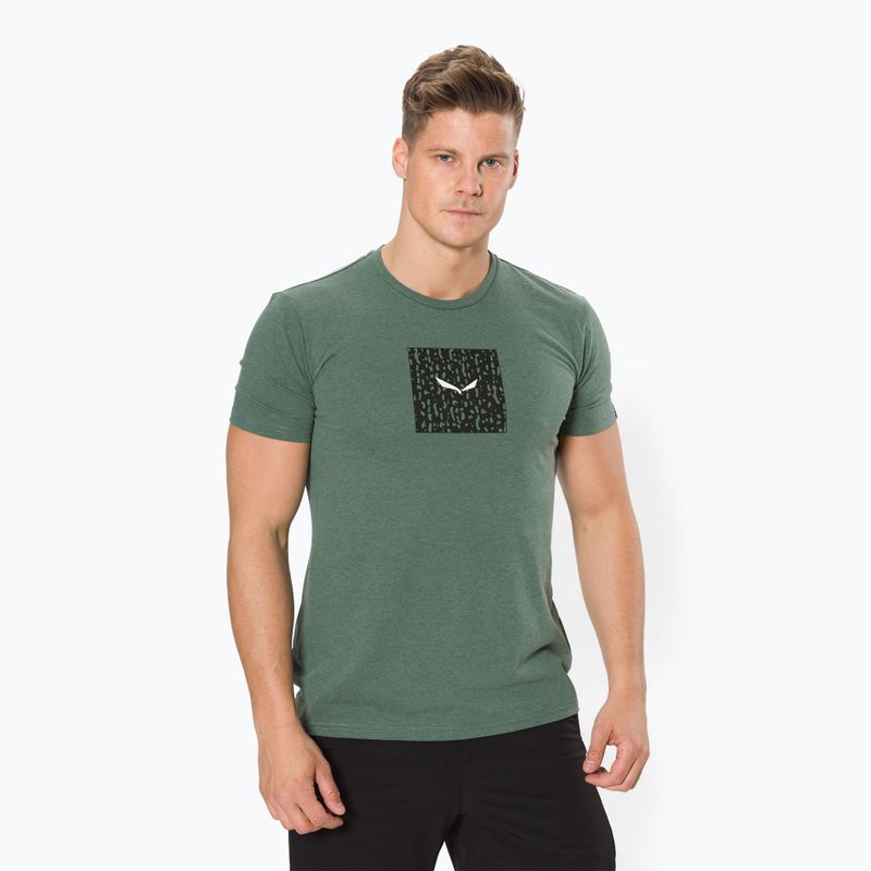 Salewa Pure Box Dry Herren-Trekkinghemd grün 00-0000028378
