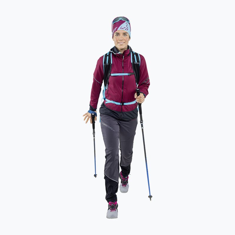 DYNAFIT Performance 2 Dry Stirnband lila-blau 08-0000070896 2