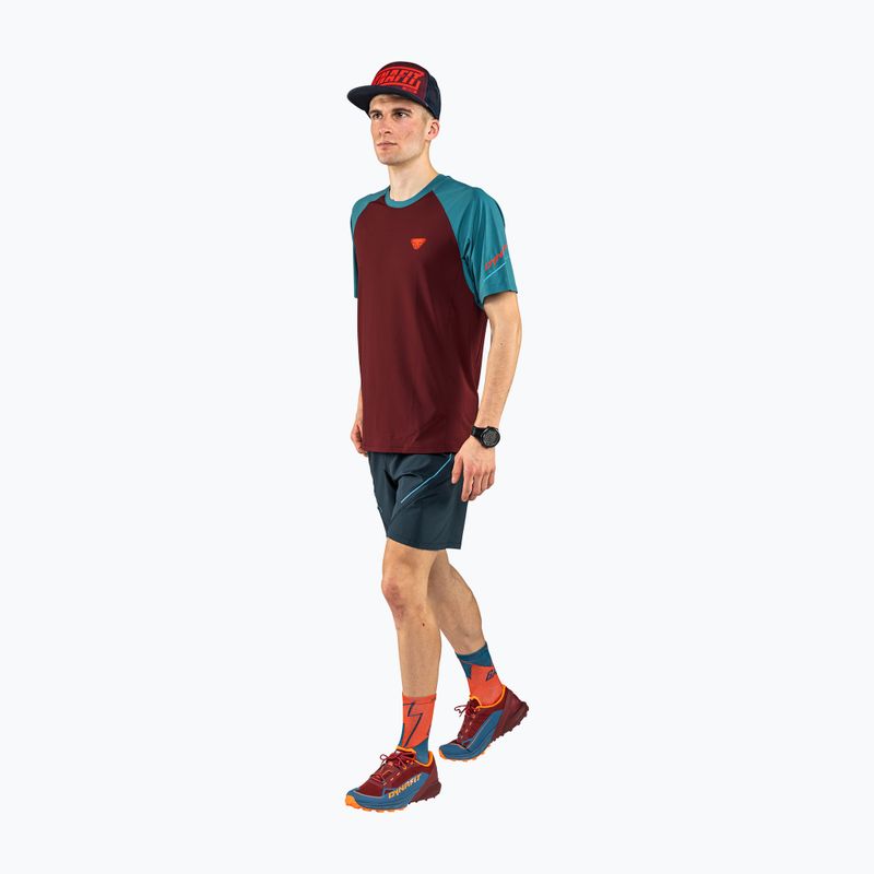 Herren DYNAFIT Alpine Pro Laufshirt kastanienbraun 08-0000070964