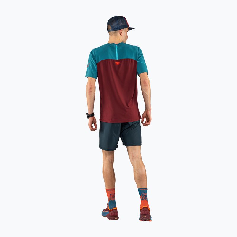 Herren DYNAFIT Alpine Pro Laufshirt kastanienbraun 08-0000070964 2