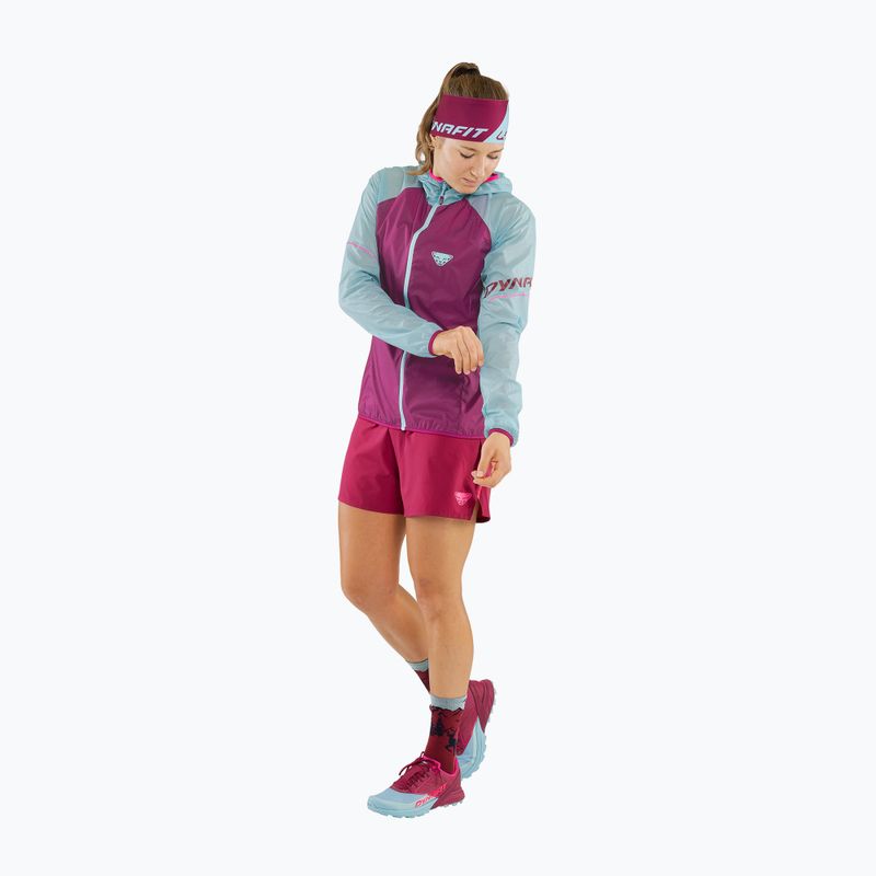 Damen DYNAFIT Alpine Wind 2 Laufjacke lila-blau 08-0000071155