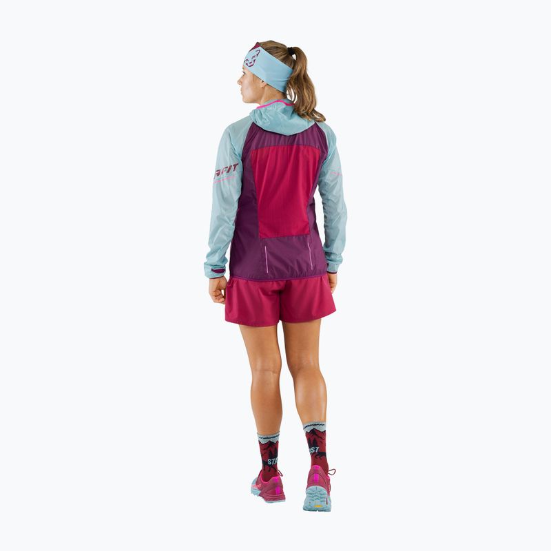 Damen DYNAFIT Alpine Wind 2 Laufjacke lila-blau 08-0000071155 2