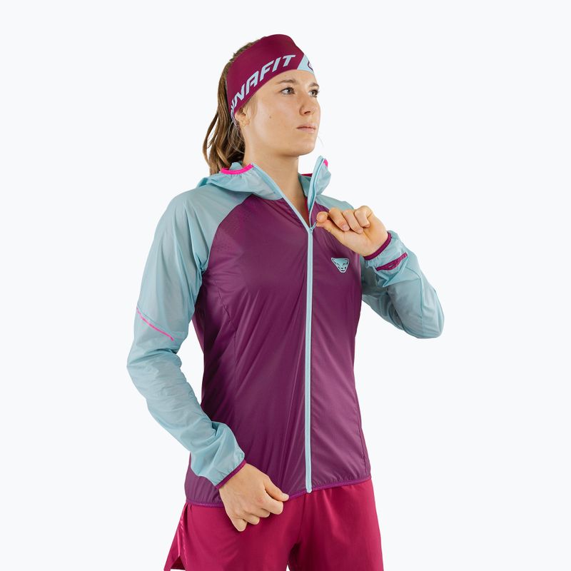 Damen DYNAFIT Alpine Wind 2 Laufjacke lila-blau 08-0000071155 3