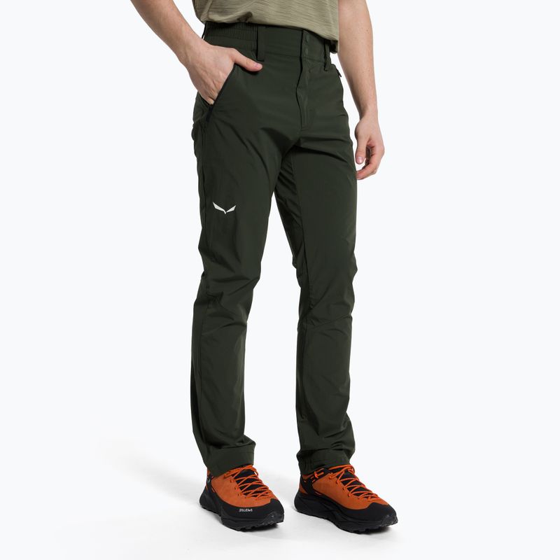 Salewa Herren-Trekkinghose Talveno 2 DST grün 00-0000027804