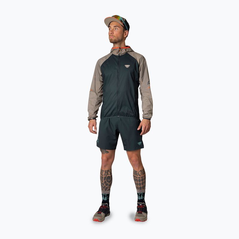 DYNAFIT Alpine Herren Laufshorts Blaubeere/Sturmblau 3