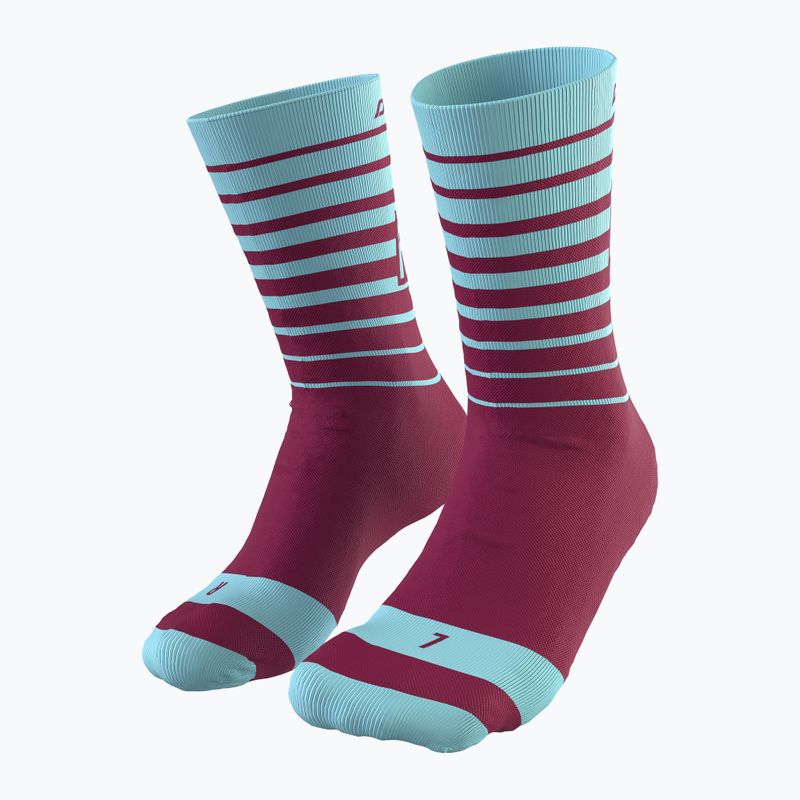 Fahrradsocken DYNAFIT Live To Ride bordowo-blau 8-71746