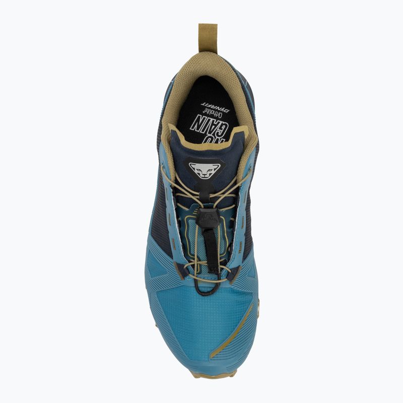 Herren DYNAFIT Traverse GTX Laufschuh storm blue/blueberry 5