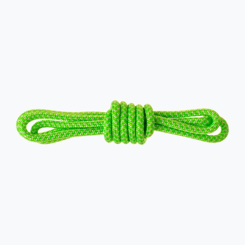 Salewa Ortles Master Cord 6mm Vorgeschnittenes grünes Kletterseil