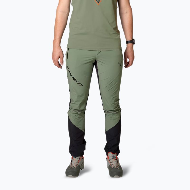 DYNAFIT Herren-Trekkinghose Transalper Light Dynastretch sage