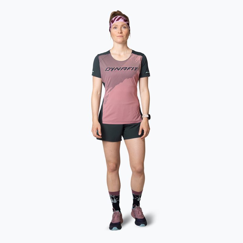Damen DYNAFIT Alpine 2 Tee mokarosa Lauf-T-Shirt 2