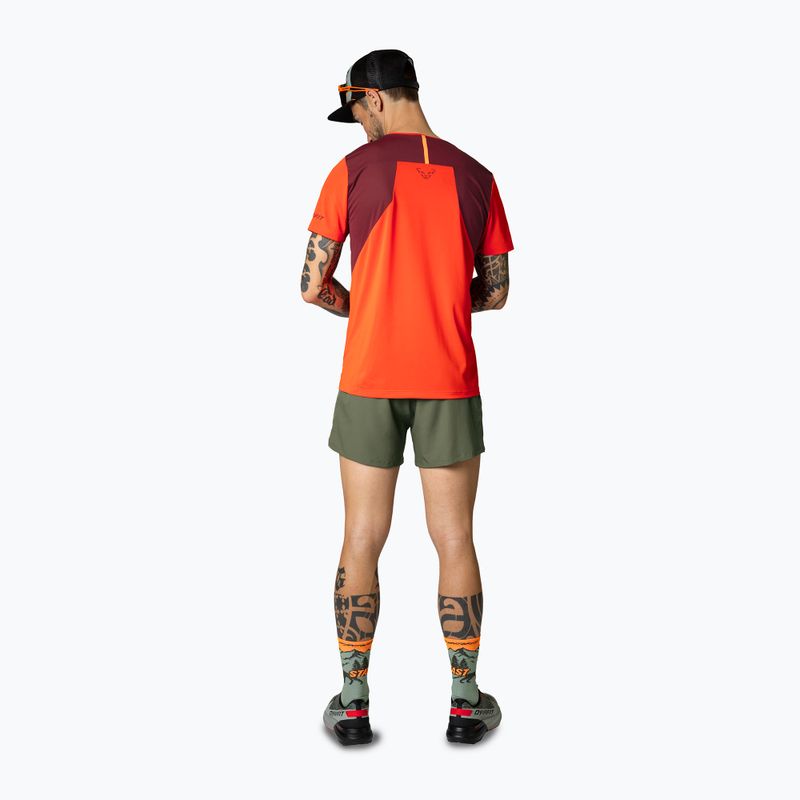 DYNAFIT Sky thyme Laufshorts für Herren 2