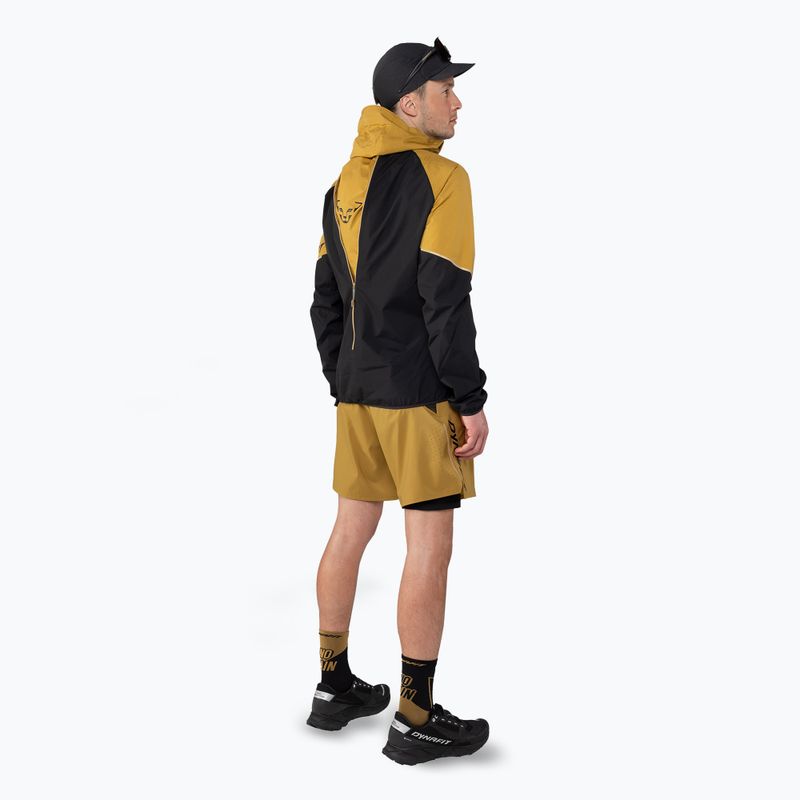 Herren DYNAFIT Alpine Pro 2IN1 tobacco Laufshorts 3