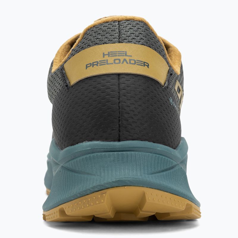 Herren-Laufschuhe DYNAFIT Ultra 100 GTX lichen/atlantic 6