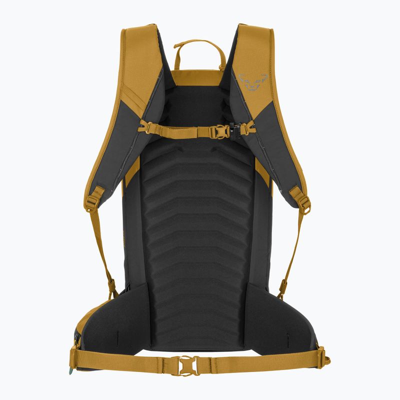 Skitourenrucksack DYNAFIT Ridge 26 l tobacco/black out 2