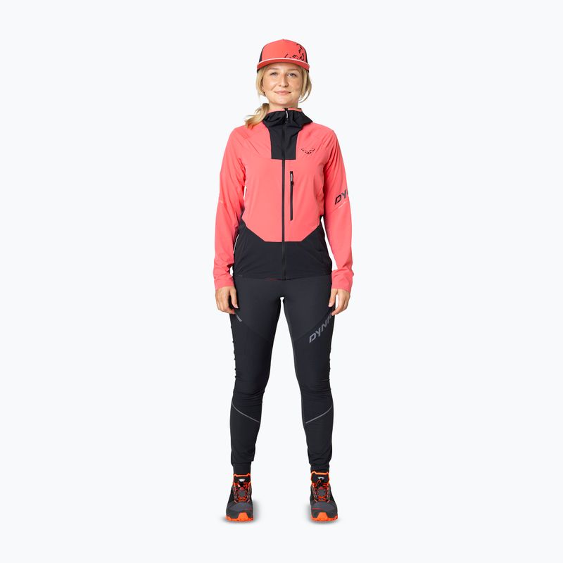 DYNAFIT Traverse Dynastretch cabana Softshell-Jacke für Damen 2