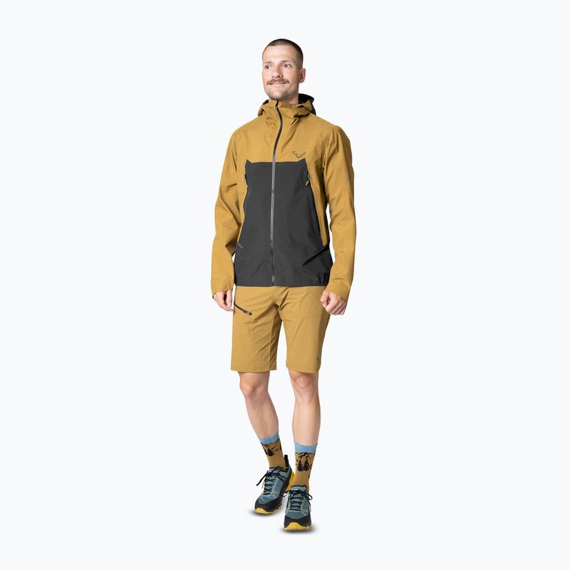 Herren DYNAFIT Transalper GTX Regenjacke relic/0910 2