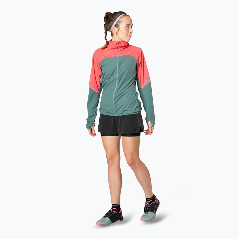 Women's DYNAFIT Alpine Wind cabana atlantic Laufjacke 3