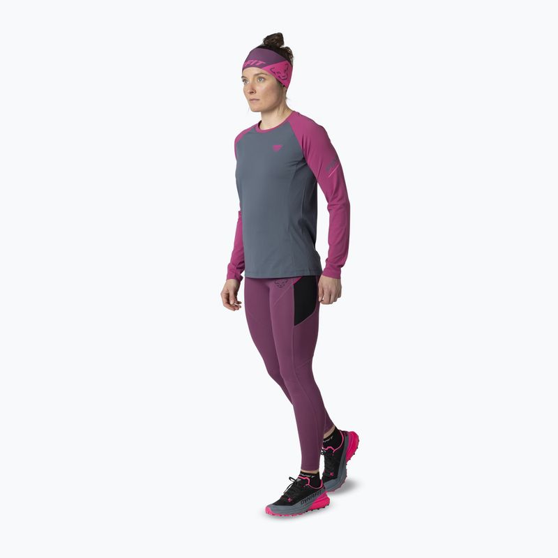 Damen-Lauf-Langarmshirt DYNAFIT Alpine Pro magenta/0720 2
