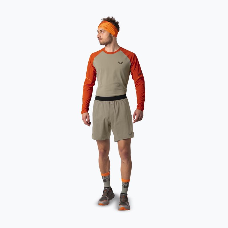 Herren-Laufshorts DYNAFIT Alpine Pro 2IN1 fallen rock 2