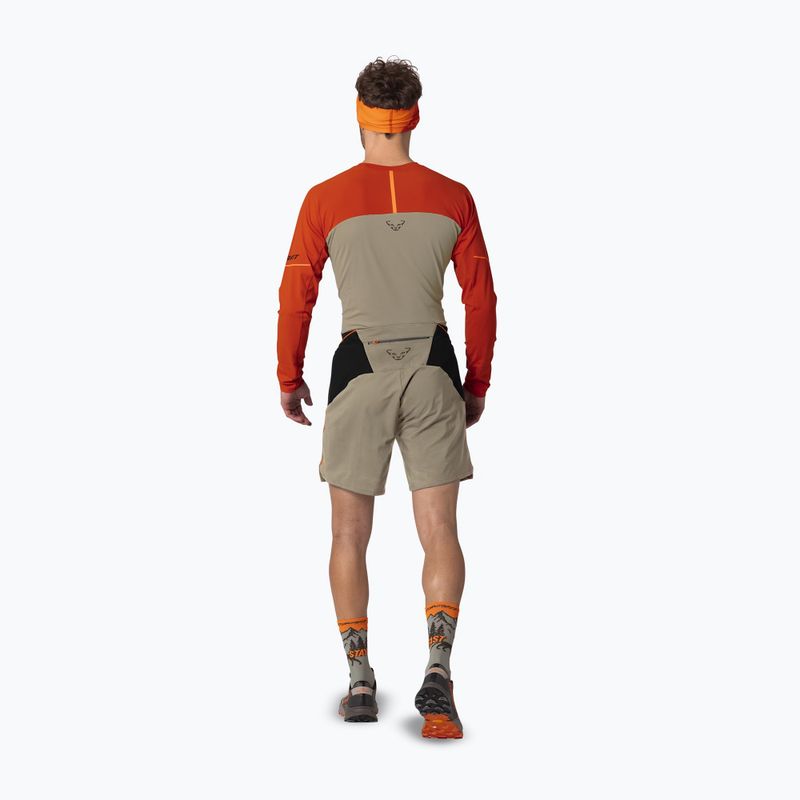 Herren-Laufshorts DYNAFIT Alpine Pro 2IN1 fallen rock 3