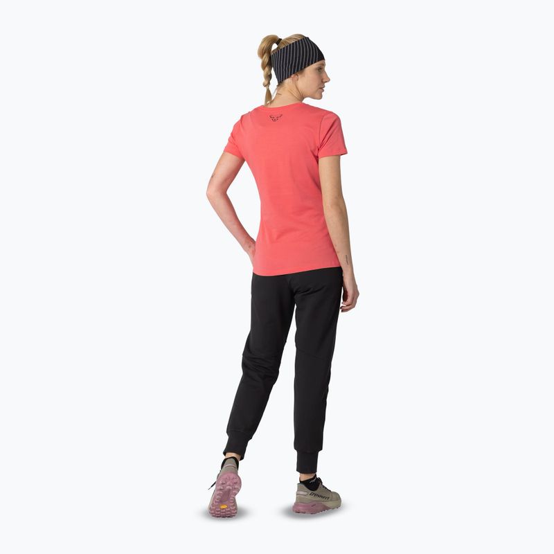 Damen-T-Shirt DYNAFIT Graphic Co cabana/tabloid 3