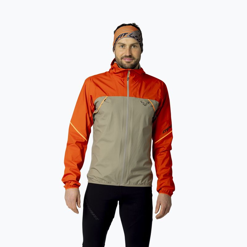 Herren-Laufjacke DYNAFIT Alpine 3L alabama