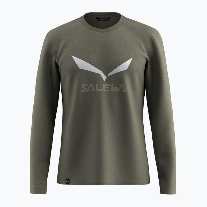 Herren-Longsleeve Salewa Solidlogo Dry faded green