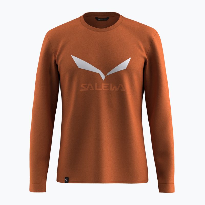 Herren-Longsleeve Salewa Solidlogo Dry bombay brown