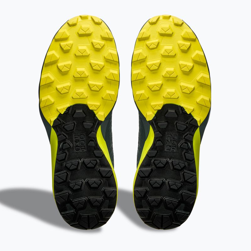 Herren-Laufschuhe DYNAFIT Ultra GTX hurricane/black out 9