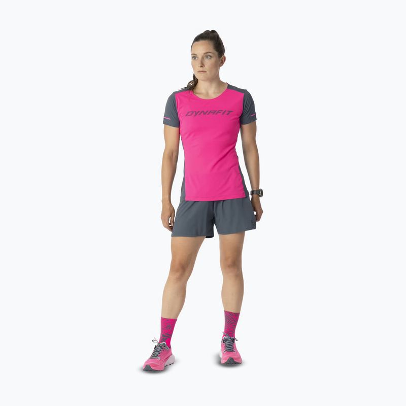 Damen-Laufshirt DYNAFIT Alpine 2 Tee pink glo 2