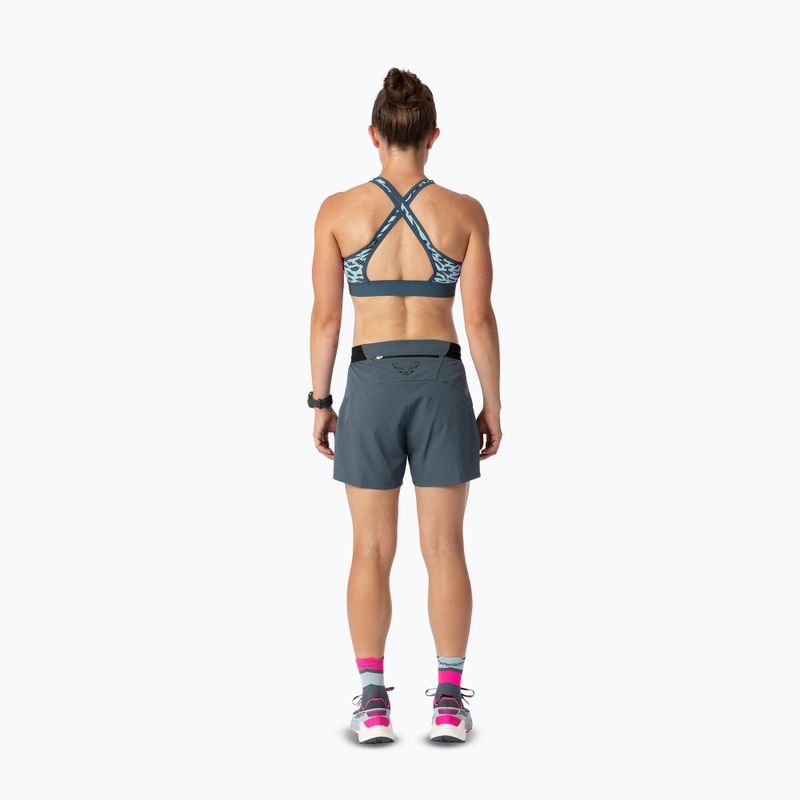 Sport-BH DYNAFIT Alpine Graphic cloud blue 4