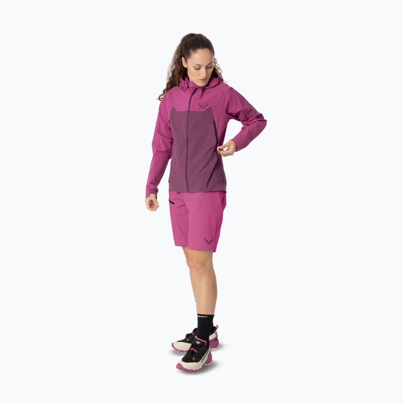 Damen-Softshelljacke DYNAFIT Transalper Dynastretch magenta/6a70 2