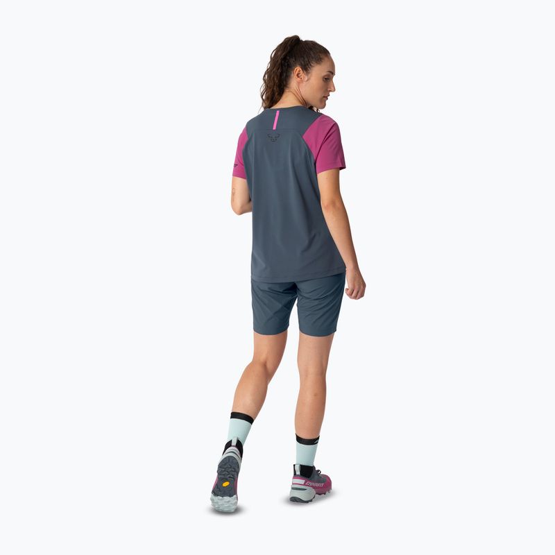 Damen-Trekking T-Shirt DYNAFIT Transalper magenta/0720 3