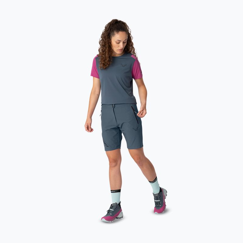 Herren-Trekking-Shorts DYNAFIT Transalper Light Dynastretch cinder/0910 2