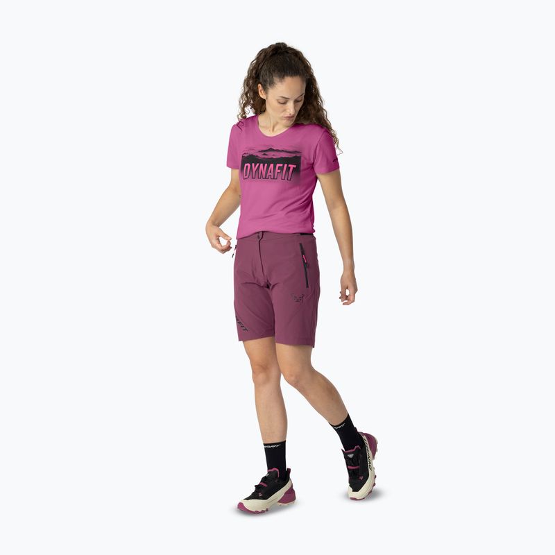 Damen-Trekking-Shorts DYNAFIT Transalper Light Dynastretch amaranth/0910 2