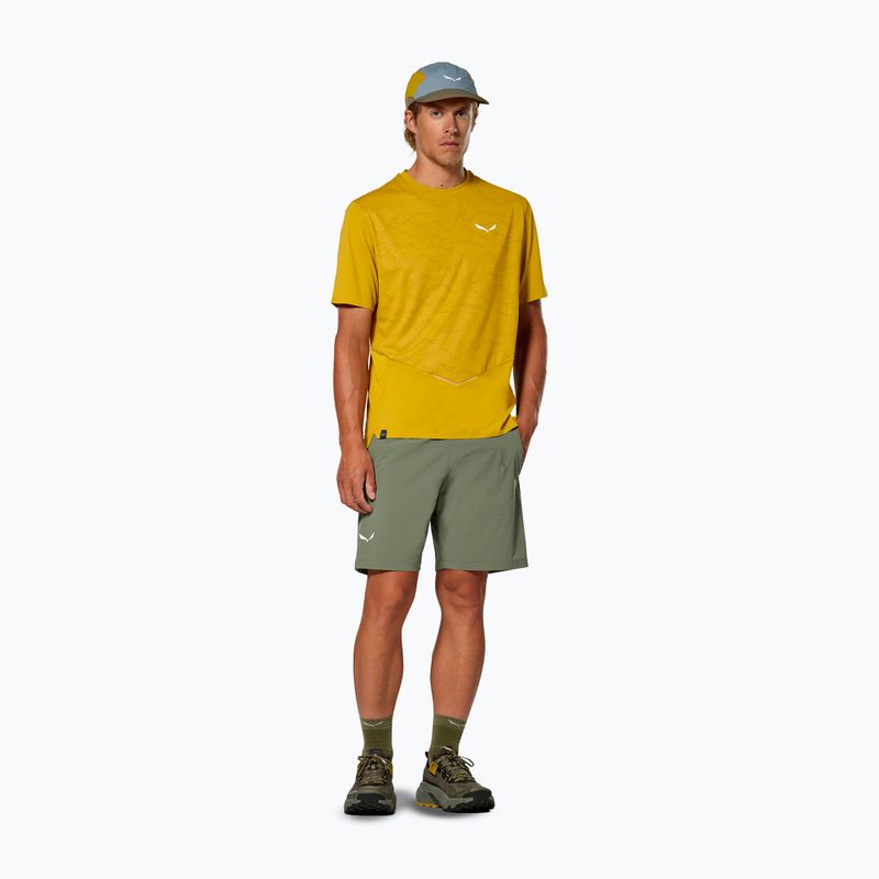 Herren-Trekking-Shorts Salewa Pedroc DST Light faded green 2