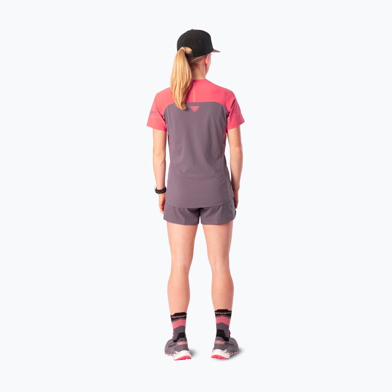 Damen-Laufshirt Dynafit Alpine Pro SS Tee cabana/6A90 2