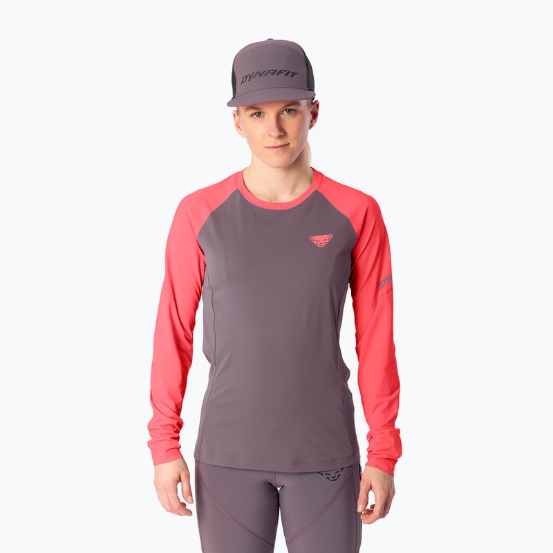 Damen-Laufshirt mit langen Ärmeln Dynafit Speed Dryarn LS Tee cabana/6A90