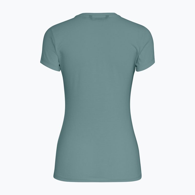 Damen-T-Shirt Salewa Solid Dry willow 2