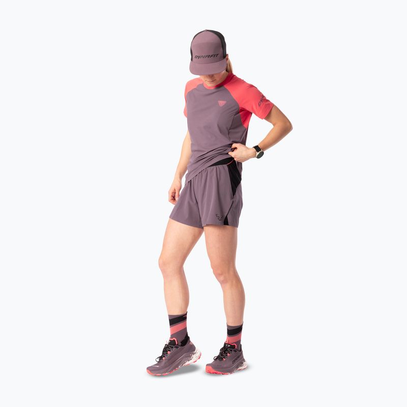 Damen-Laufshorts DYNAFIT Alpine Pro 2IN1 ephemera 2
