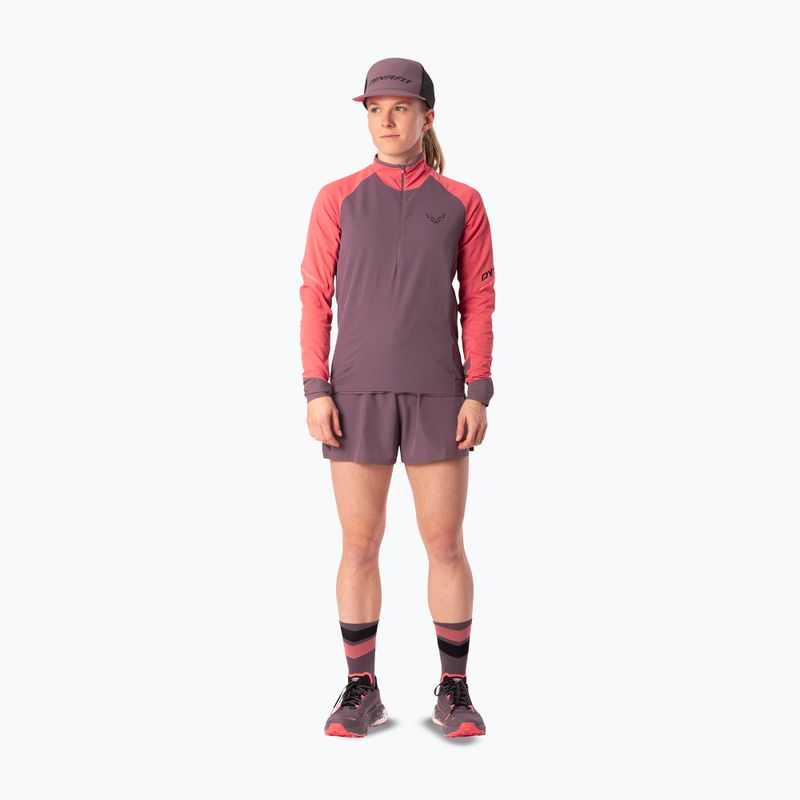 Laufpullover für Damen Dynafit Alpine LS 1/2 Zip Tee cabana/6A90 2