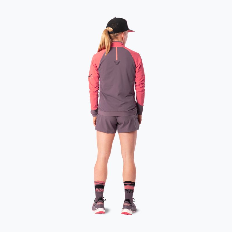 Laufpullover für Damen Dynafit Alpine LS 1/2 Zip Tee cabana/6A90 3