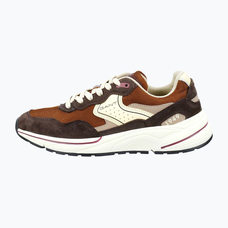 Herrenschuhe GANT McJulien brown 2
