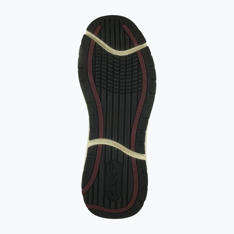 Herrenschuhe GANT McJulien brown 5