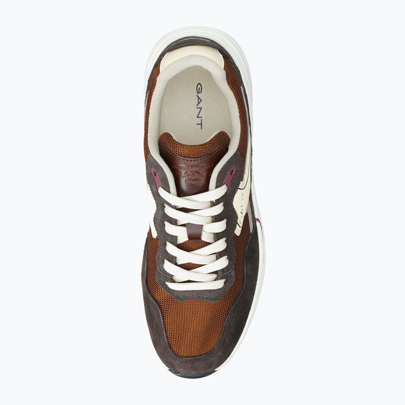 Herrenschuhe GANT McJulien brown 6