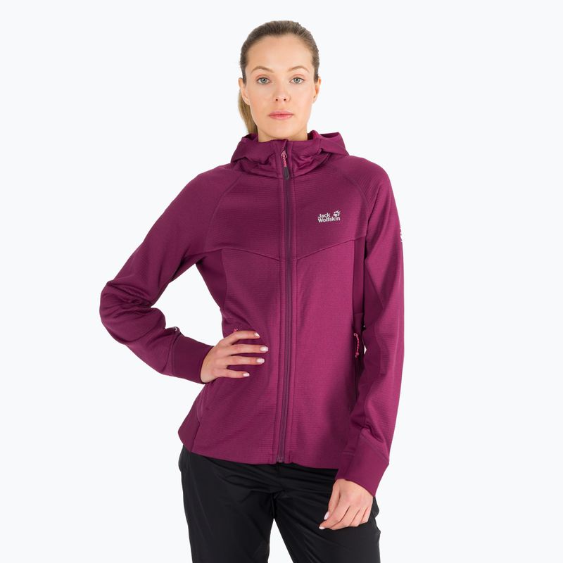 Jack Wolfskin Damen Hydro Grid Fleece Sweatshirt rosa 1709911
