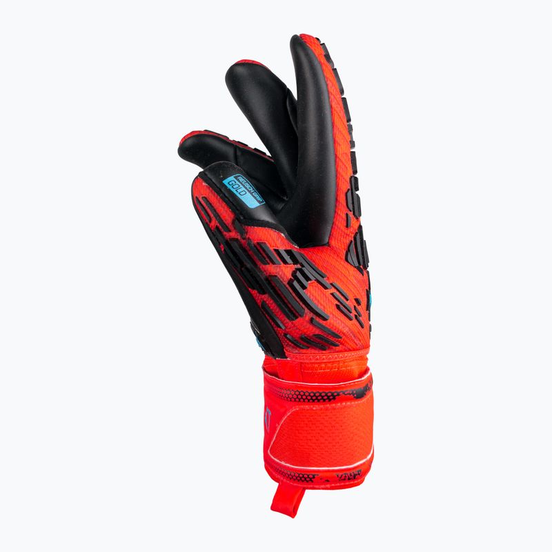 Reusch Attrakt Freegel Gold Finger Support Torwarthandschuhe Rot 5370130-3333 6