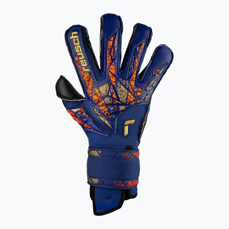 Reusch Attrakt Duo Evolution Premium Torwarthandschuhe blau/gold/schwarz 2